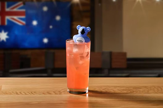 NEW! Koala Punch